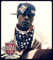 The Swag Bird photo