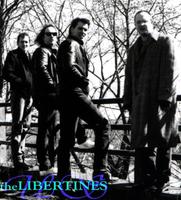 the LIBERTINES US photo