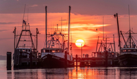 Pete Baccili photo