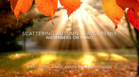 ARAPA MUSIC photo