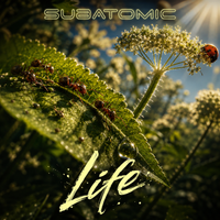 SubAtomic photo