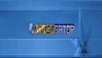 NaderGator photo