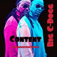 C-Dogg The Artist/Engineer photo