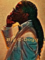 C-Dogg The Artist/Engineer photo
