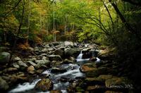 Danny Busby photo