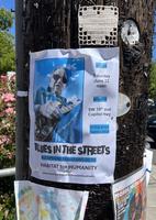 Blues In The Streets photo