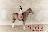 Sheila Sondergard photo