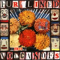 Fur Lined Volcanoes photo