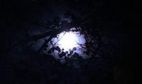 Kattmoon Meditative Yoga photo