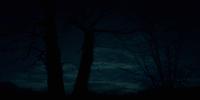 Earthcore Audio photo