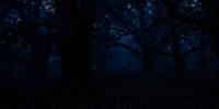Earthcore Audio photo