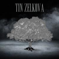 Tin Zelkova photo