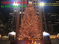 Joe Melillo photo