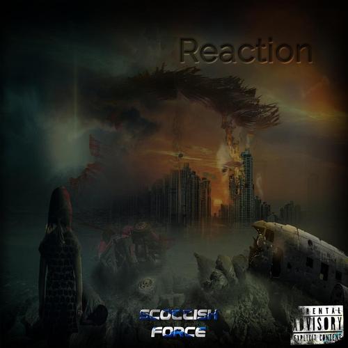 Reaction cover