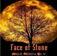Face of Stone photo