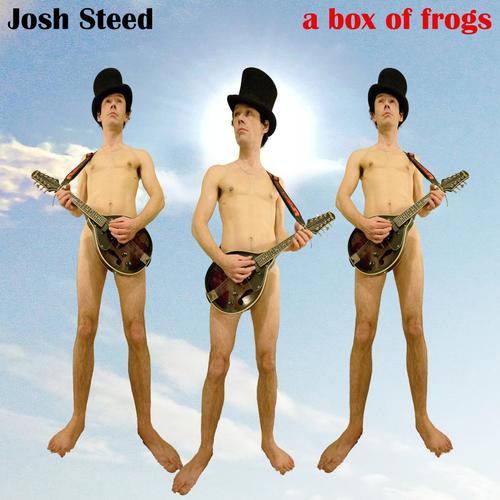 A Box of Frogs cover