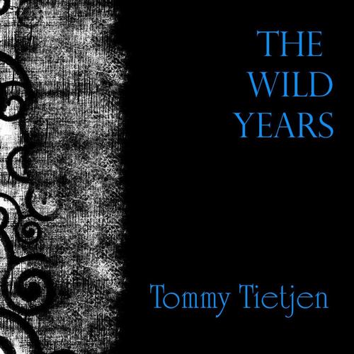 The Wild Years cover