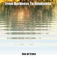 FROM DARKNESS TO EMPTINESS photo