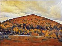 Brian J. MacShain photo