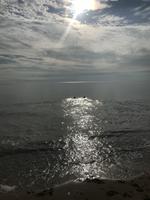 Dawn wilkinson photo