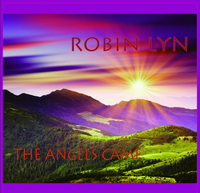 The Robin Lyn Band photo