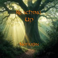 Nefarbn photo