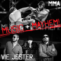 Vie Jester photo