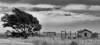 Dan Matlack photo