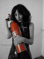 Healthy Junkies photo