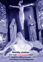 Healthy Junkies photo