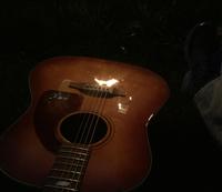 John Ferullo photo