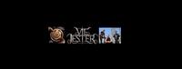 Vie Jester photo