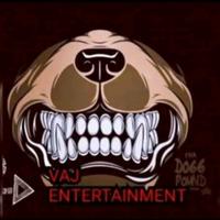 VAJ ENTERTAINMENT photo