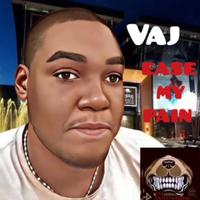 VAJ ENTERTAINMENT photo