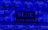 Blue Savages photo