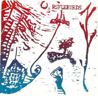 The Riflebirds of Portland photo