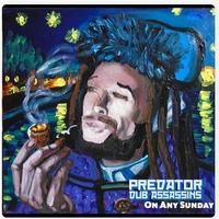 Predator Dub Assassins photo