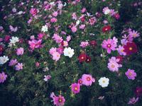 To Be Wonderful photo