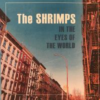 The SHRIMPS photo