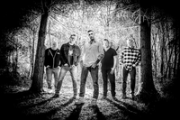 Scattered Sunn photo