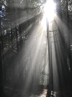 Newest Path Records photo