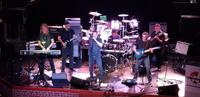 The Woo Hoo Band photo