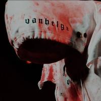 Vanhelga photo