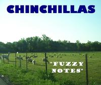 The Chinchillas photo