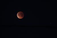 Hecate's Fury photo