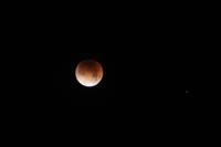 Hecate's Fury photo
