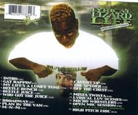 Lyrical Lizard photo