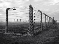 DONALD McCREA photo