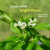 Bryan White - Bassist photo