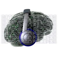 BotoxBrain Records photo